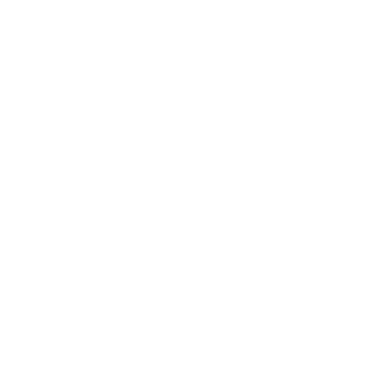 codewinglet_text